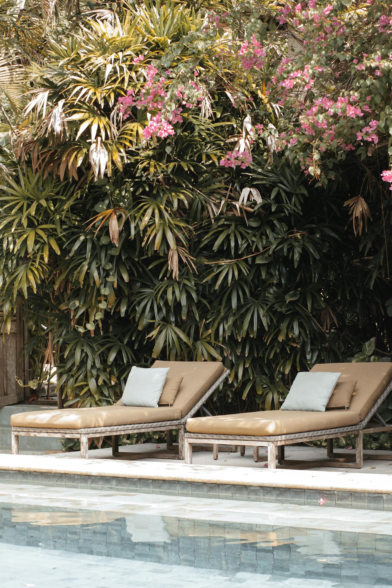 Out Door Pool | landscape architecture